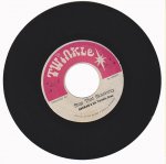 STOP THAT SKANKING - Norman Grant & His Twinkle Brothers