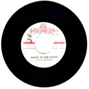 SNAKE IN THE GRASS - Jimmie Shandel