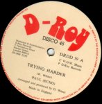 TRYING HARDER - Paul (Echo)