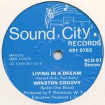 LIVING IN A DREAM - Winston Groovy