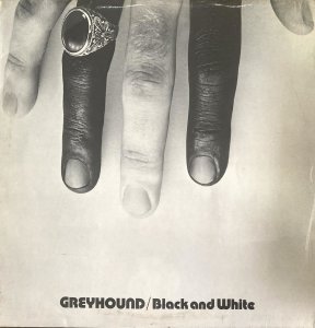 BLACK AND WHITE - Greyhound