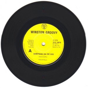 SOMETHING ON THE SIDE - Winston Groovy