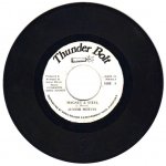 MAGNET & STEEL - Junior Mervin