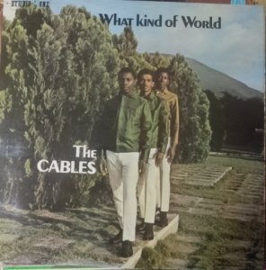 WHAT KIND OF WORLD - The Cables (Red strip)