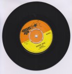 EVERYDAY MUSIC - Observer