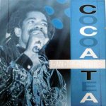 I AM THE TOUGHEST - Cocoa Tea