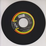 RAGGAMUFFIN YEAR - Junior Delgado