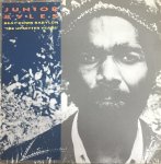 BEAT DOWN BABYLON (The Upsetter Years) - Junior Byles