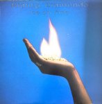 ICE ON FIRE- MIGHTY DIAMONDS