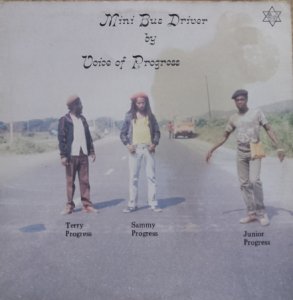 MINI BUS DRIVER - Voice Of Progress