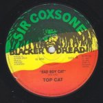 BAD BOY CAT - Top Cat