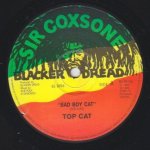 BAD BOY CAT - Top Cat