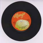 STOP THE WAR IN A BABYLON - James Brown