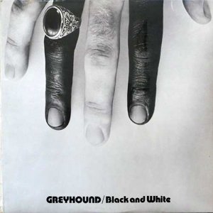 BLACK AND WHITE - Greyhound