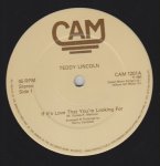 IF IT'S LOVE THAT YOU'RE LOOKING FOR - Treddy Lincoln