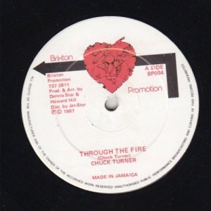 THROUGH THE FIRE - Chuck Turner