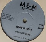 BOUND IN CHAIN - Clarodonians