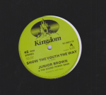 SHOW THE YOUTH THE WAY - Junior Brown