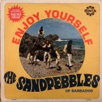 ENJOY YOURSELF - The Sandpebbles