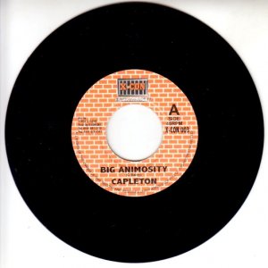 BIG ANIMOSITY - Capleton