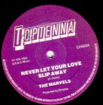 NEVER LET YOUR LOVE SLIP AWAY - The Marvels