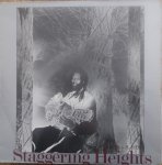 STAGGERING HEIGHTS - Singers & Players