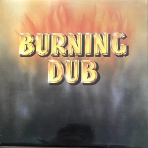 BURNING DUB - The Revolutionaries