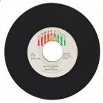 BOTHA WARNING - Bionic Singer