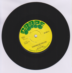 SEARCHING FOR YOUR LOVE - Dell Williams