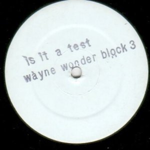 IS IT A TEST - Wayne Wonder