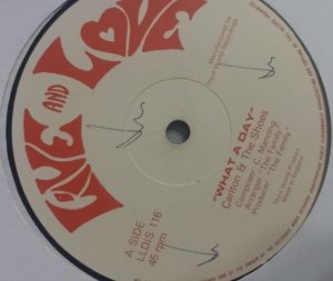 WHAT A DAY - Carlton & The Shoes