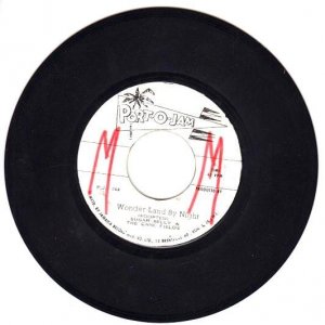WONDER LAND BY NIGHT - Sugar Belly & The Cane Fields