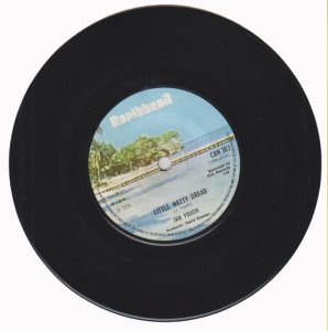 LITTLE NATTY DREAD - Jah Youth