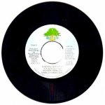 HARVEST IS PLENTY - Denroy Morgan, Morgan Heritage