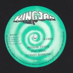 REGGAE FEVER - Luxley Ranking