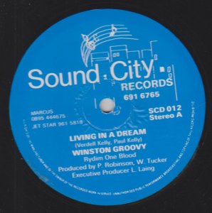 LIVING IN A DREAM - Winston Groovy