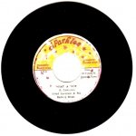 WHAT A WOE - Lloyd Lawrence & The Burning Heaks