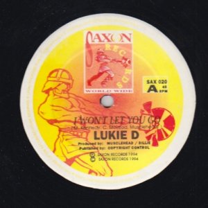 I WONT LET YOU GO - Lukie D