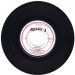 IRIE FESTIVAL - Turnel McCormack and The Cordells