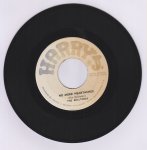 I'LL FOLLOW YOU - The Beltones