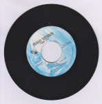 FIGHT TO THE TOP - Michael Prophet