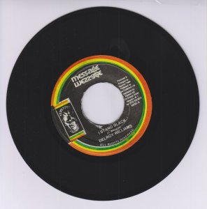 I STAND BLACK - DELROY WILLIAMS