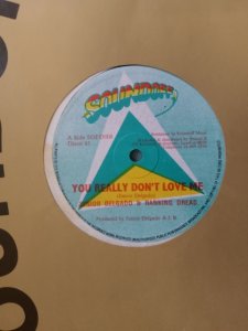 YOU REALLY DONT LOVE ME - Junior Delgado & Ranking Dread