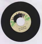 KEEP ON TRYING - The Travellers