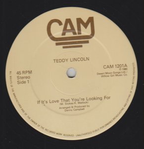 IF IT'S LOVE THAT YOU'RE LOOKING FOR - Treddy Lincoln