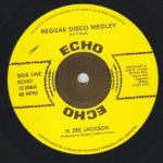 REGGAE DISCO MEDLEY - R. Zee Jackson