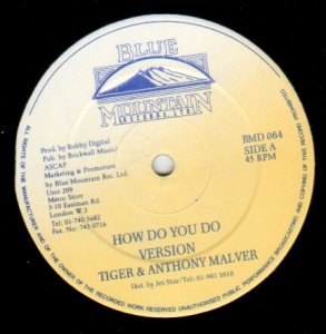 HOW DO YOU DO - Tiger & Anthony Malver