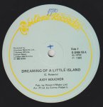 DREAMING OF A LITTLE ISLAND - Judy Boucher