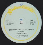 DREAMING OF A LITTLE ISLAND - Judy Boucher