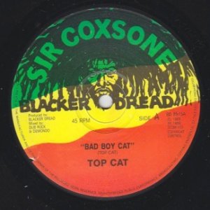 BAD BOY CAT - Top Cat